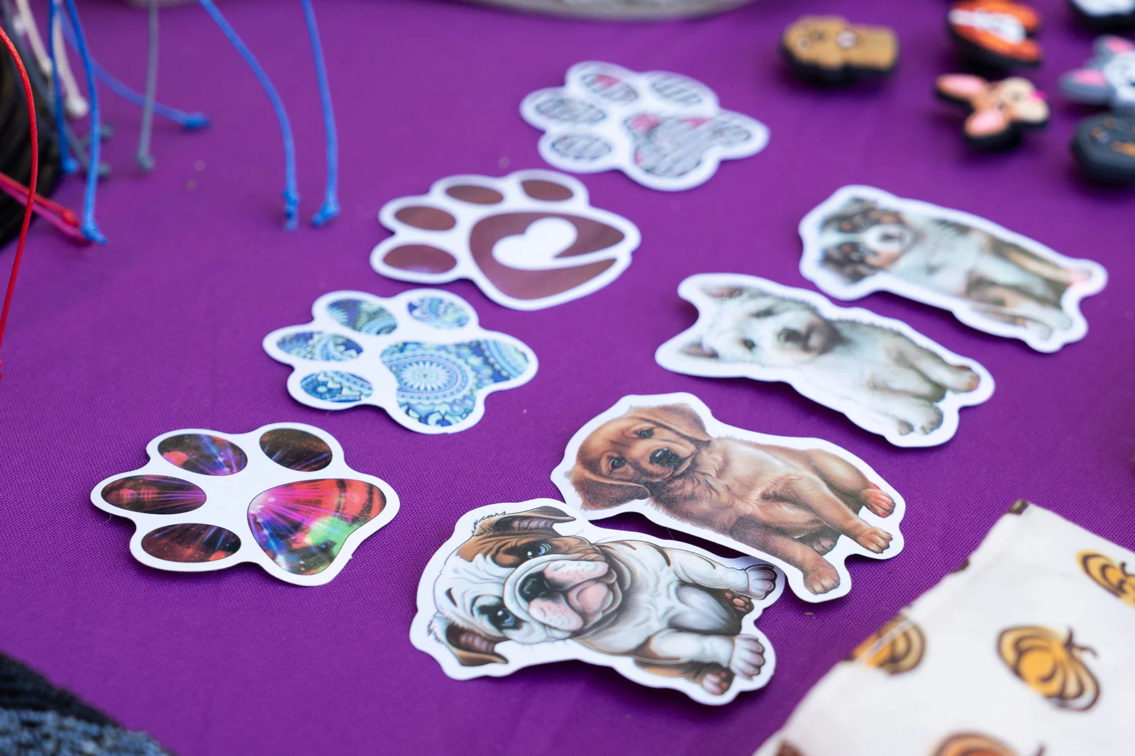 A Dog’s New Life Experience Emotions Resort & Suites