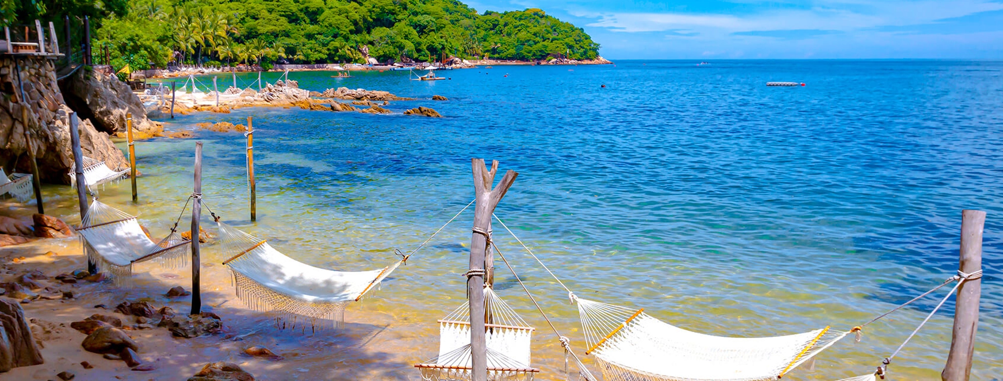 Banner de Tours y qué hacer en Nuevo Vallarta 