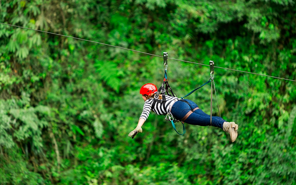 Tours y qué hacer en Nuevo Vallarta 