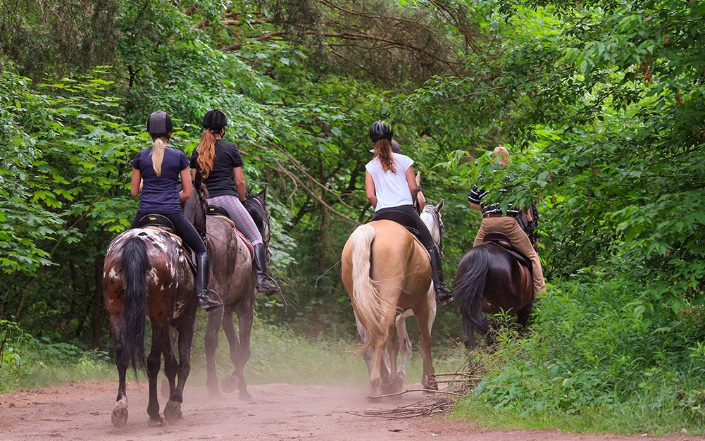 Tours y qué hacer en Nuevo Vallarta 