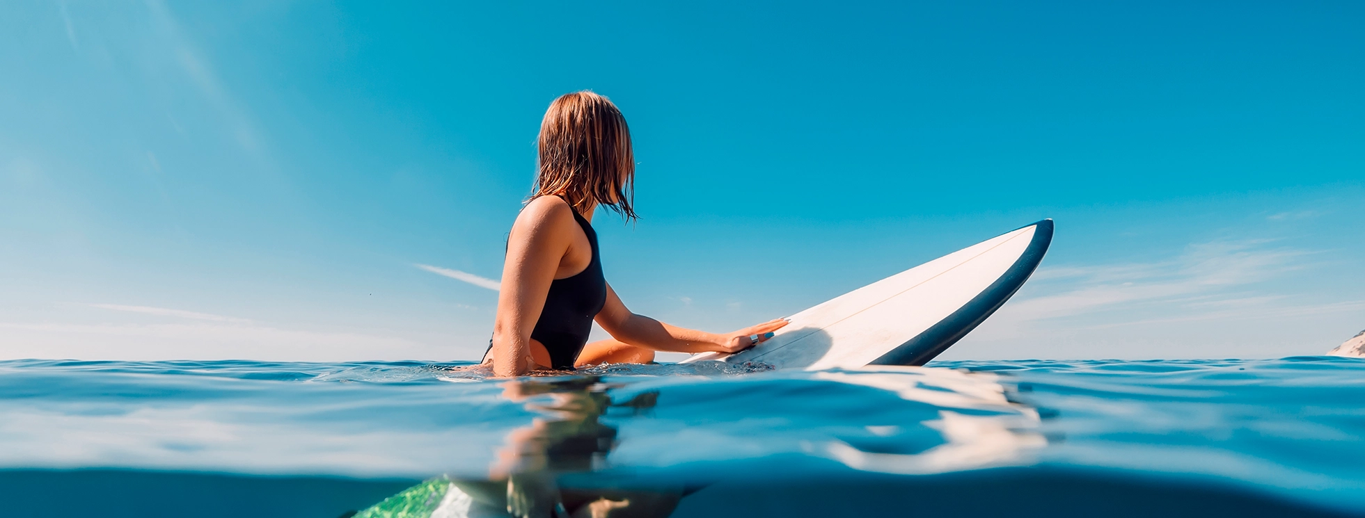 Banner de Tours y qué hacer en Nuevo Vallarta 