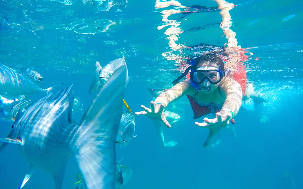 Tours y qué hacer en Nuevo Vallarta 