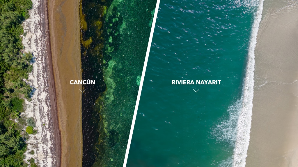 Riviera Nayarit vs Cancún: ¿Cuál es el mejor destino para tus próximas vacaciones?